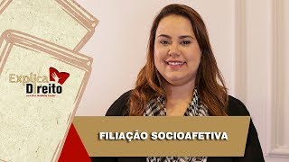 Explica Direito Filiação Socioafetiva  2019 [upl. by Terriss]