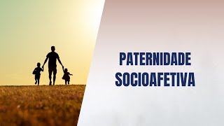 Paternidade socioafetiva [upl. by Dnama51]