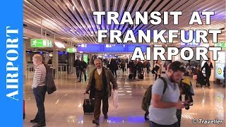 TRANSIT WALK AT FRANKFURT Airport FRA Terminal 1  Connection Flight Transfer Arriving amp Departing [upl. by Shay193]